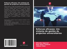 Capa do livro de Esforços eficazes: Um sistema de gestão de projectos universitários 