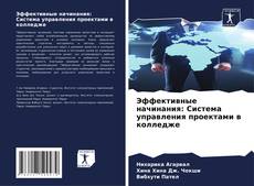 Capa do livro de Эффективные начинания: Система управления проектами в колледже 