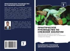 Bookcover of ПРАКТИЧЕСКОЕ РУКОВОДСТВО ПО СМЕЖНОЙ ЗООЛОГИИ