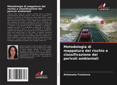Buchcover von Metodologia di mappatura del rischio e classificazione dei pericoli ambientali