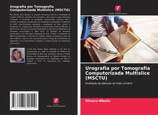 Buchcover von Urografia por Tomografia Computorizada Multislice (MSCTU)