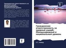 Гражданская ответственность за ядерный ущерб: Международный и национальный уровень的封面