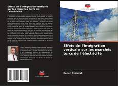 Copertina di Effets de l'intégration verticale sur les marchés turcs de l'électricité