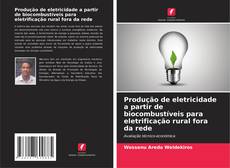 Capa do livro de Produção de eletricidade a partir de biocombustíveis para eletrificação rural fora da rede 
