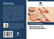 Absicherung des Wechselkursrisikos kitap kapağı