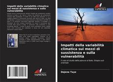 Portada del libro de Impatti della variabilità climatica sui mezzi di sussistenza e sulla vulnerabilità