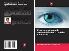 Capa do livro de Uma panorâmica do desenvolvimento do olho e da visão 