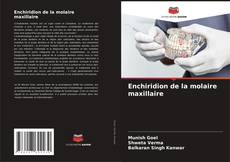 Buchcover von Enchiridion de la molaire maxillaire