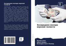 Bookcover of Энхиридион моляра верхней челюсти