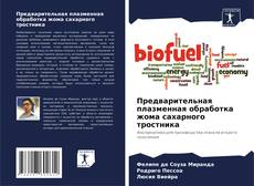 Предварительная плазменная обработка жома сахарного тростника的封面