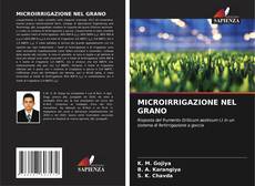 Bookcover of MICROIRRIGAZIONE NEL GRANO