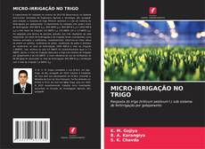 Bookcover of MICRO-IRRIGAÇÃO NO TRIGO