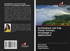 Architettare reti Fog-Cloud: Principi, tecnologie e applicazioni kitap kapağı
