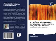 Buchcover von Судебное оформление муниципальной политики социальной помощи