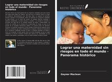 Lograr una maternidad sin riesgos en todo el mundo - Panorama histórico kitap kapağı