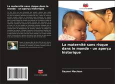 Buchcover von La maternité sans risque dans le monde - un aperçu historique