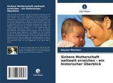 Capa do livro de Sichere Mutterschaft weltweit erreichen - ein historischer Überblick 