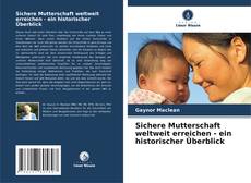 Couverture de Sichere Mutterschaft weltweit erreichen - ein historischer Überblick