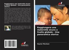 Buchcover von Raggiungere una maternità sicura a livello globale - Una panoramica storica