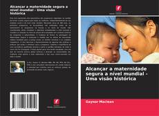 Capa do livro de Alcançar a maternidade segura a nível mundial - Uma visão histórica 