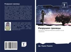 Capa do livro de Разрушая границы 