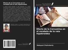 Bookcover of Efecto de la Corcumina en el cerebelo de la rata hipotiroidea
