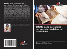 Bookcover of Effetto della corcumina nel cervelletto del ratto ipotiroideo