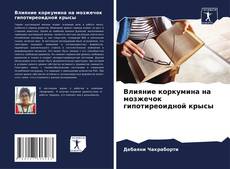 Buchcover von Влияние коркумина на мозжечок гипотиреоидной крысы