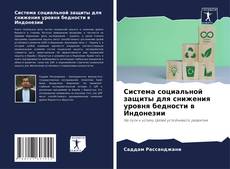 Система социальной защиты для снижения уровня бедности в Индонезии的封面