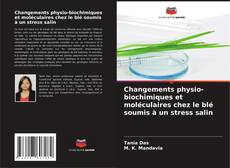 Buchcover von Changements physio-biochimiques et moléculaires chez le blé soumis à un stress salin