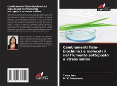 Bookcover of Cambiamenti fisio-biochimici e molecolari nel frumento sottoposto a stress salino