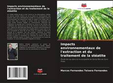 Bookcover of Impacts environnementaux de l'extraction et du traitement de la stéatite