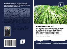 Bookcover of Воздействие на окружающую среду при добыче и переработке стеатитовой породы