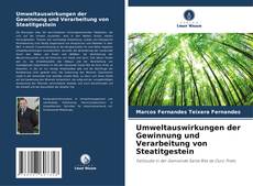 Bookcover of Umweltauswirkungen der Gewinnung und Verarbeitung von Steatitgestein