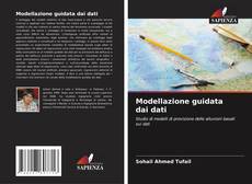 Bookcover of Modellazione guidata dai dati