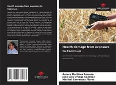 Buchcover von Health damage from exposure to Cadmium