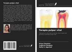 Buchcover von Terapia pulpar vital