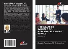 MODELLARE LO SVILUPPO DEL MERCATO DEL LAVORO RURALE的封面