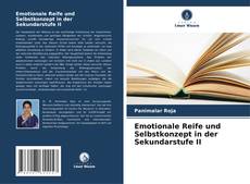 Bookcover of Emotionale Reife und Selbstkonzept in der Sekundarstufe II