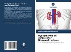 Dyslipidämie bei chronischer Nierenerkrankung kitap kapağı