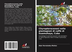 Bookcover of Chyropterocenosi nelle piantagioni di caffè di Guamuhaya, Cuba