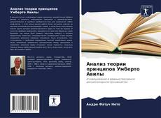 Buchcover von Анализ теории принципов Умберто Авилы