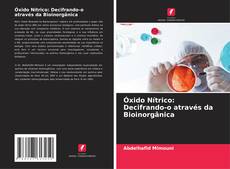 Buchcover von Óxido Nítrico: Decifrando-o através da Bioinorgânica