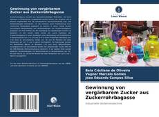 Bookcover of Gewinnung von vergärbarem Zucker aus Zuckerrohrbagasse