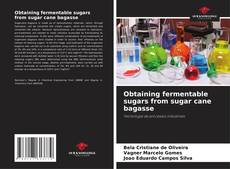 Portada del libro de Obtaining fermentable sugars from sugar cane bagasse