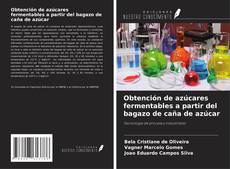 Bookcover of Obtención de azúcares fermentables a partir del bagazo de caña de azúcar