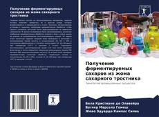 Buchcover von Получение ферментируемых сахаров из жома сахарного тростника