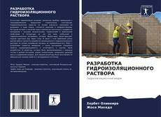 Buchcover von РАЗРАБОТКА ГИДРОИЗОЛЯЦИОННОГО РАСТВОРА