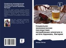 Copertina di Социально-экономические последствия потребления алкоголя в штате Адамава, Нигерия