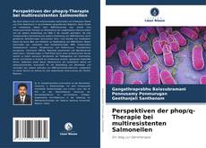 Capa do livro de Perspektiven der phop/q-Therapie bei multiresistenten Salmonellen 